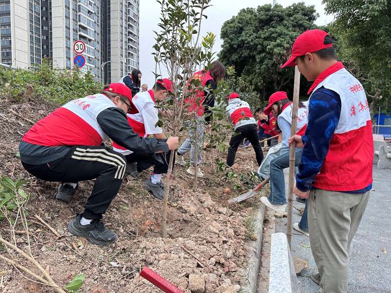 三亿体育app：中筑三局“蒲公英”欲望者帮力墟落绿化做事(图1)